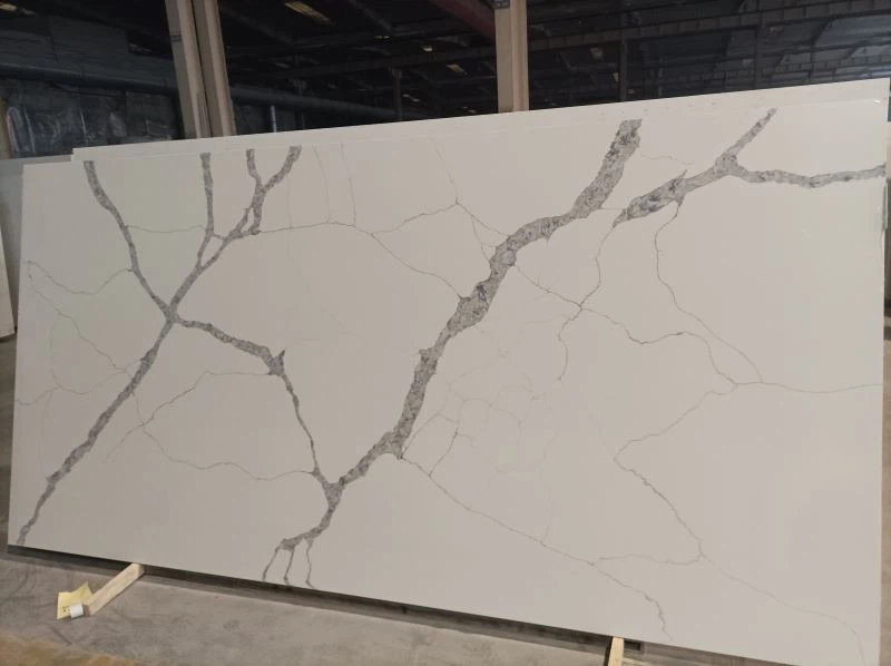 Calacatta Vein White suppliers