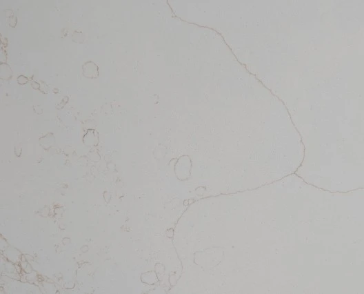 Calacatta Design Marble Like Slab price
