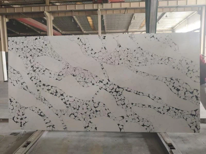 Carrara Black Lace suppliers